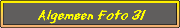 Algemeen Foto 31